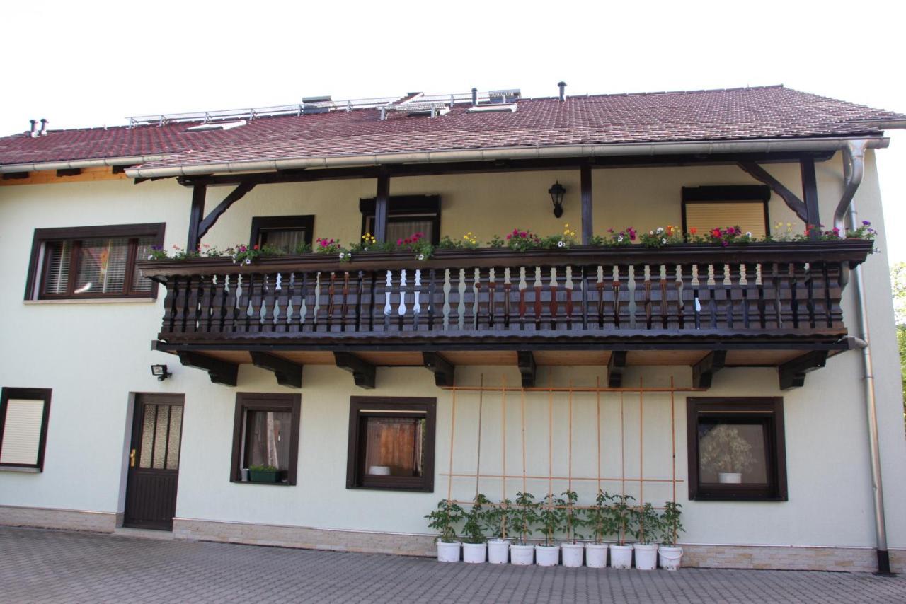 Ferienwohnung Bayer Kurort Gohrisch Exterior foto