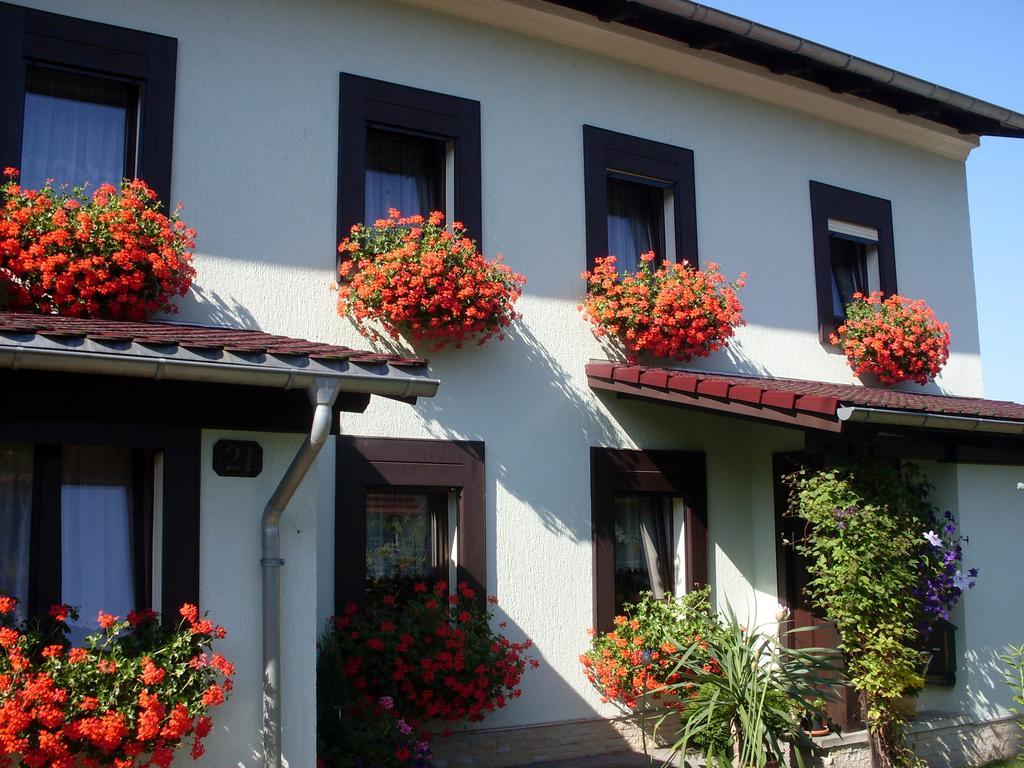 Ferienwohnung Bayer Kurort Gohrisch Exterior foto